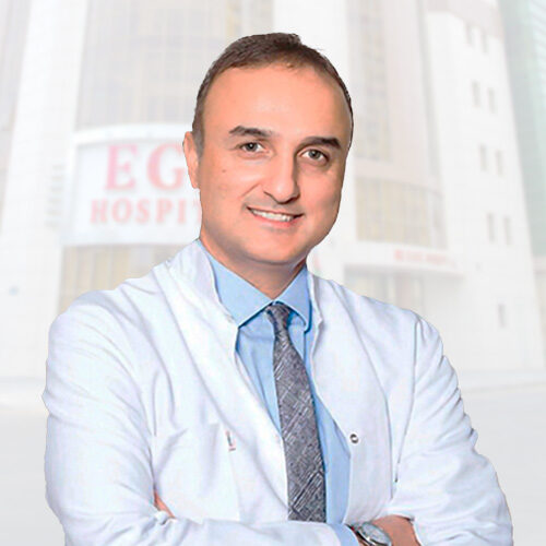 Prof. Dr. Özkan Tehli